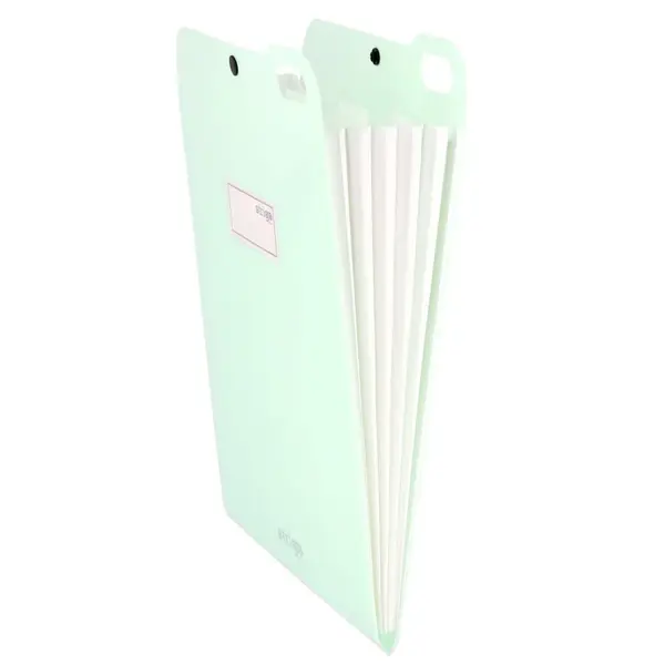 Organizator documente vertical Strigo, format A4, PP, 5 separatoare, capsa, culoare menta