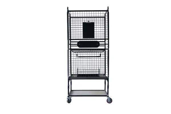 Organizator piese FINIXA