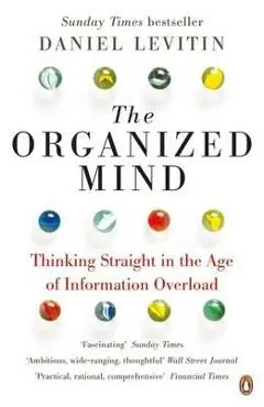 Organized Mind
