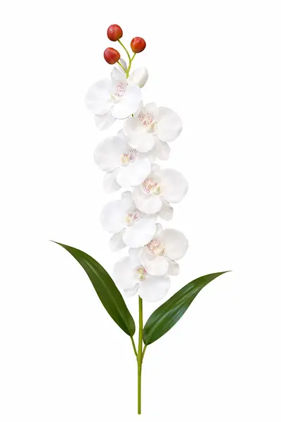 Orhidee artificiala eleganta alba, 6 flori si 3 boboci, 60 cm