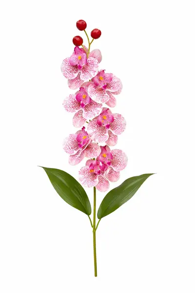 Orhidee artificiala eleganta verde deschis cu accente violet, 6 flori, 60 cm