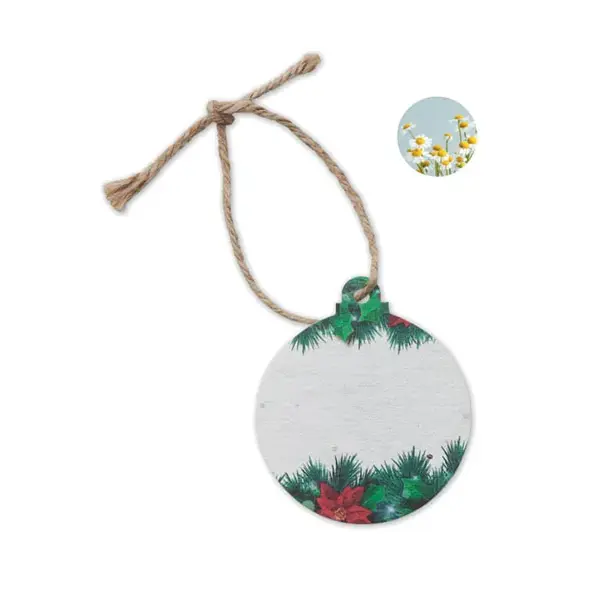 Ornament de Craciun cu seminte Ornament de Craciun cu seminte