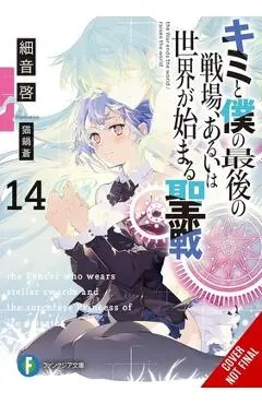 Our Last Crusade or the Rise of a New World, Vol. 14 (Light Novel): Volume 14 - Kei Sazane