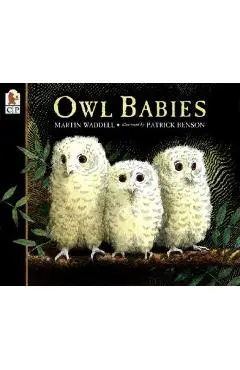 Owl Babies - Martin Waddell