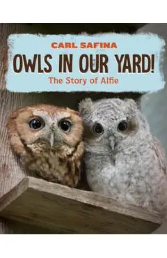 Owls in Our Yard!: The Story of Alfie - Carl Safina