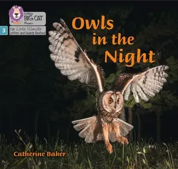 Owls in the Night. Phase 3, Paperback/Catherine Baker