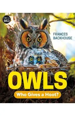 Owls: Who Gives a Hoot? - Frances Backhouse