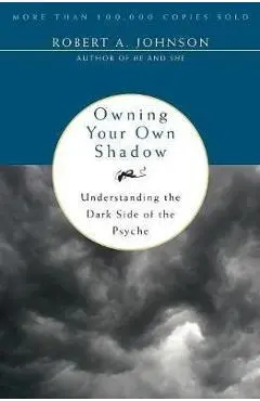 Owning Your Own Shadow - Robert A Johnson