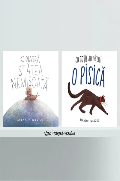 Pachet imaginație (O piatră stătea nemișcată, Cu toții au văzut o pisică) - Brendan Wenzel