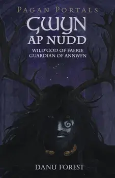 Pagan Portals - Gwyn ap Nudd. Wild god of Faery, Guardian of Annwfn, Paperback/Danu Forest