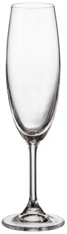Pahare de șampanie Bohemia - Sylvia, 220 ml, 6 buc