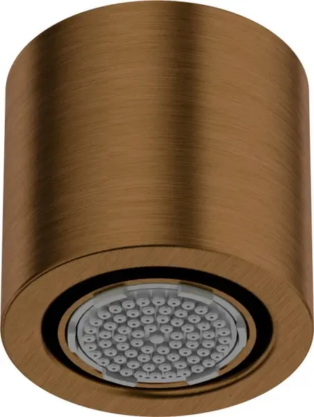 Palarie dus rotunda, fixa, O 42 mm, bronz, Deante Silia