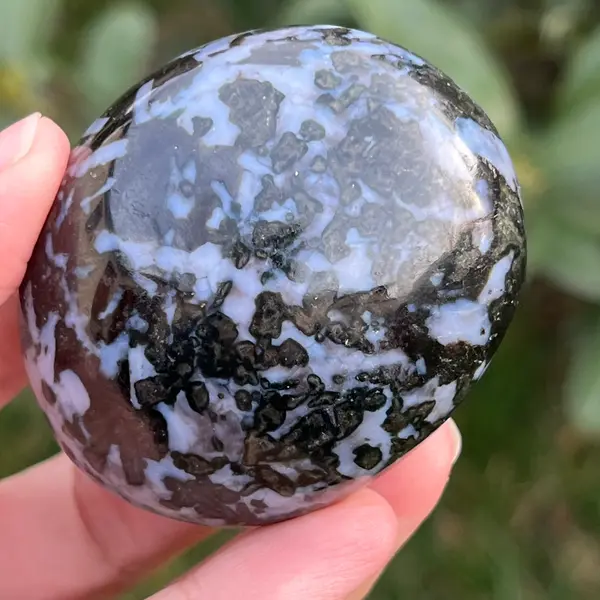 Palmstone merlinit model 5