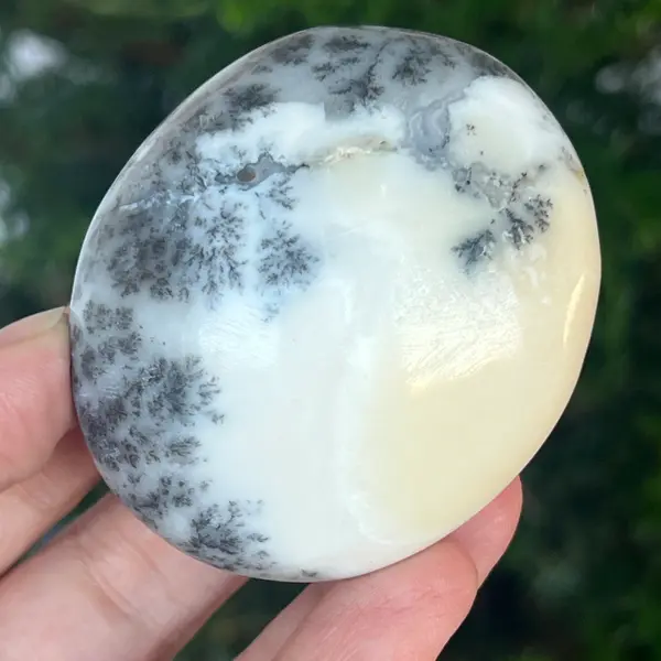 Palmstone opal alb dendritic | Model 5