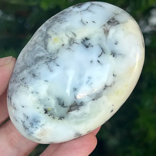 Palmstone opal alb dendritic | Model 6
