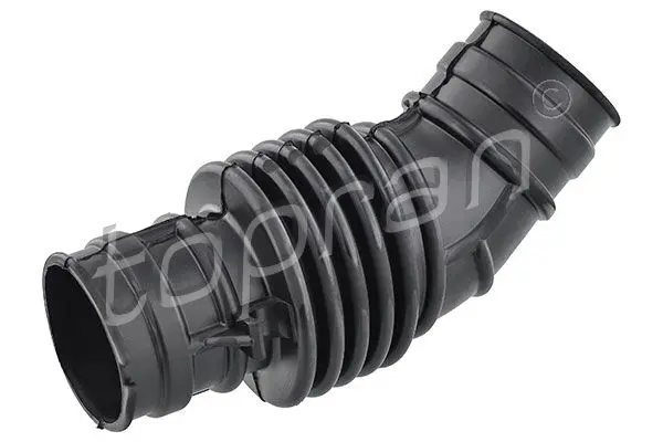 Palnie, filtru de aer TOPRAN 207 307