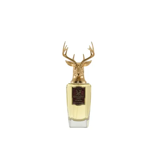 Pana Dora Orchestra Apă de Parfum Unisex Tester EDP Volum 100 ml