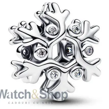 PANDORA Pandora Moments 794249C01