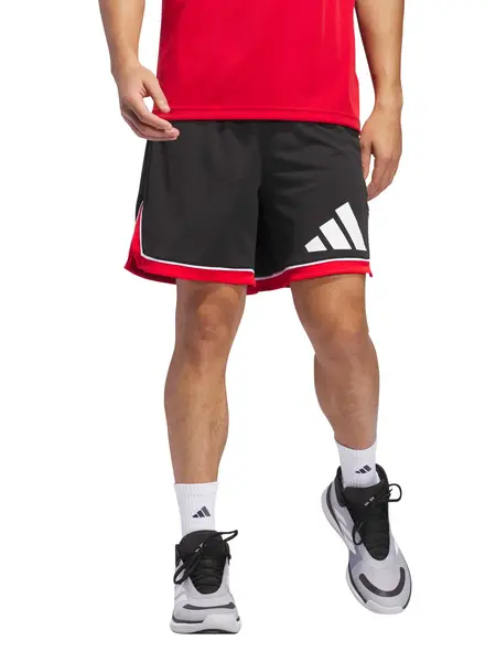 Pantaloni scurti Basketball Badge of Sport