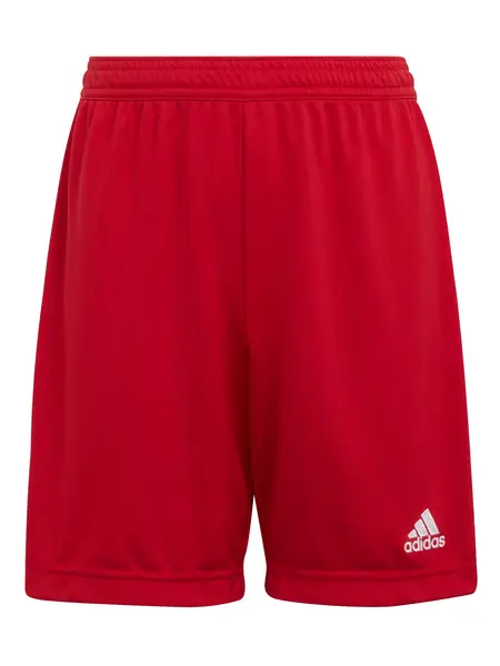 Pantaloni scurti Entrada 22