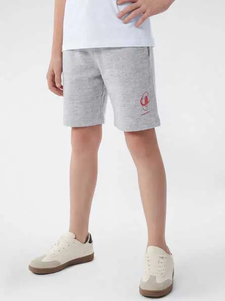 Pantaloni scurti Shorts