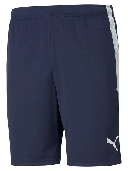 Pantaloni scurti Teamliga