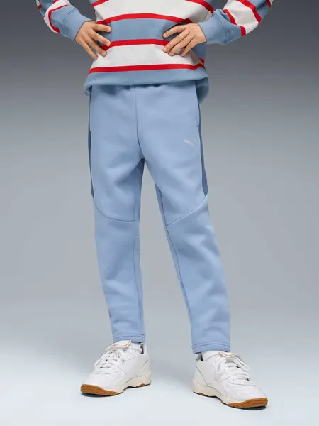 Pantaloni sport Evostripe Dk B