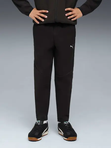 Pantaloni sport Evostripe Dk B