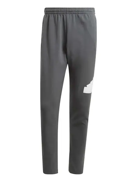 Pantaloni sport Future Icons Badge of Sport