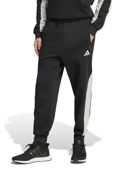 Pantaloni sport Seasonal Essentials Colorblock
