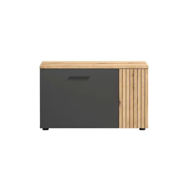 Pantofar ESTEBAN, 2 usi, grafit + stejar evok, 80,1x36x48 cm