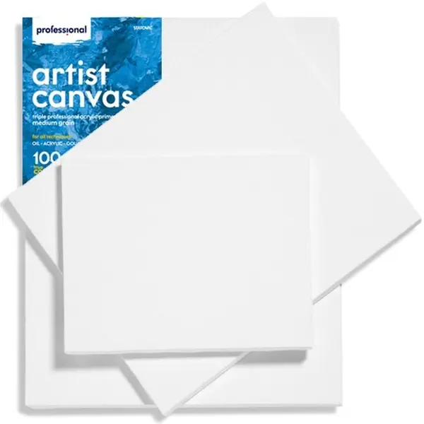Pânză pentru pictură Professional - 30 x 40 cm