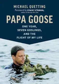 Papa Goose, Hardcover/Michael Quetting