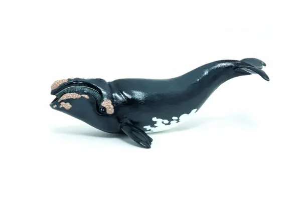 PAPO - Figurina Balena