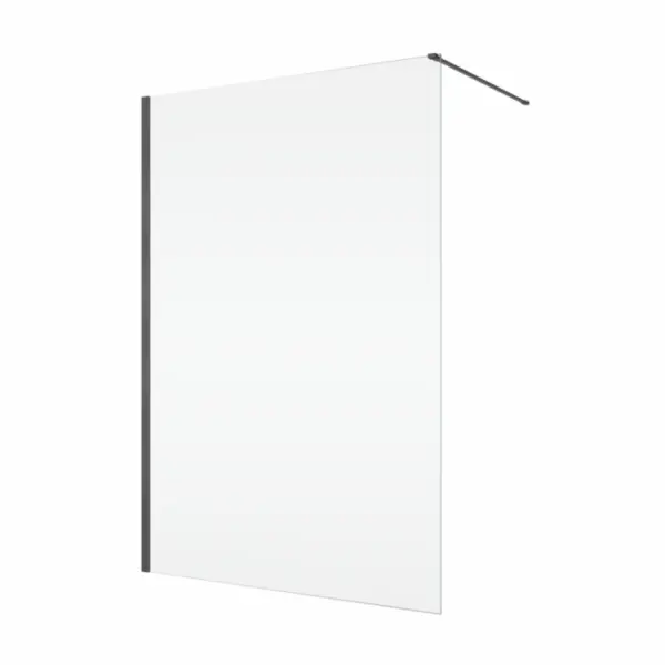 Paravan dus sticla walk-in 100x200 cm, gun metal periat, sticla 8 mm, Ronal Easy