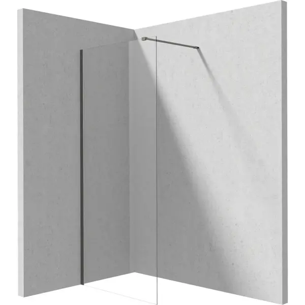 Paravan dus walk-in sticla securizata 110x195 cm titan Deante Prizma