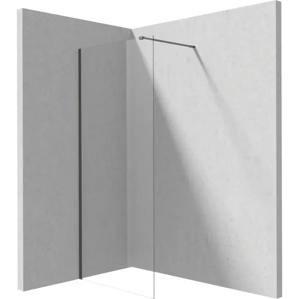 Paravan dus walk-in sticla securizata 120x195 cm titan Deante Prizma