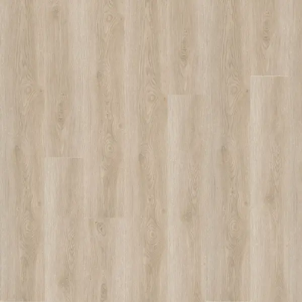 Parchet laminat City Ordu Oak 8 mm clasa 21 AC1