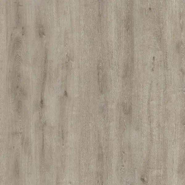 Parchet laminat Silver Acar Oak 8 mm clasa 31 AC3