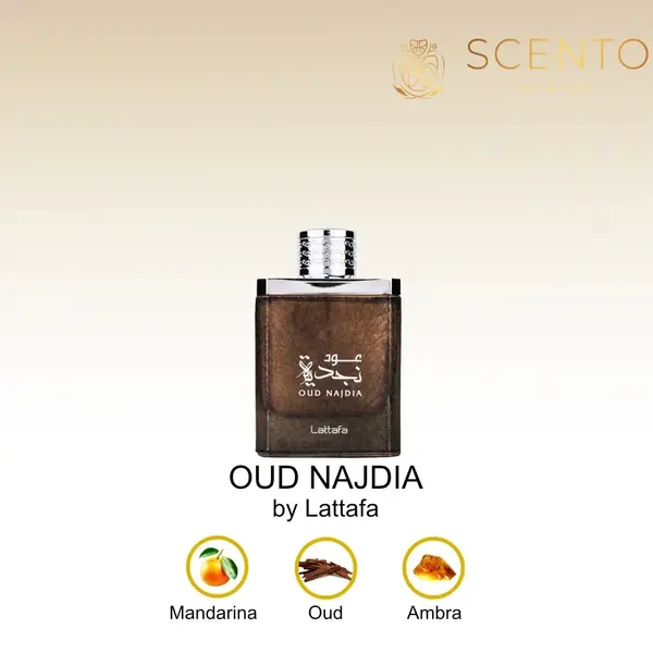 Parfum arabesc Oud Najdia, Lattafa, apa de parfum 100 ml, barbati - Original Dubai