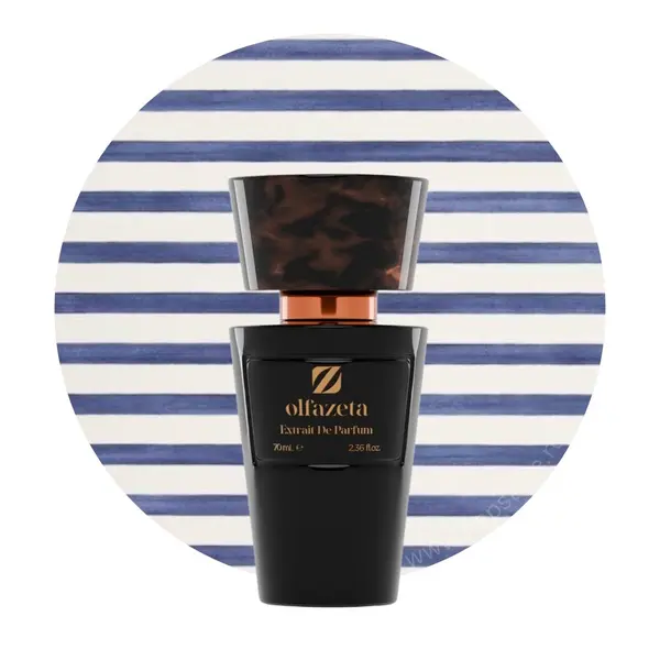 Parfum barbati nr 016 Chogan Olfazeta 70 ml
