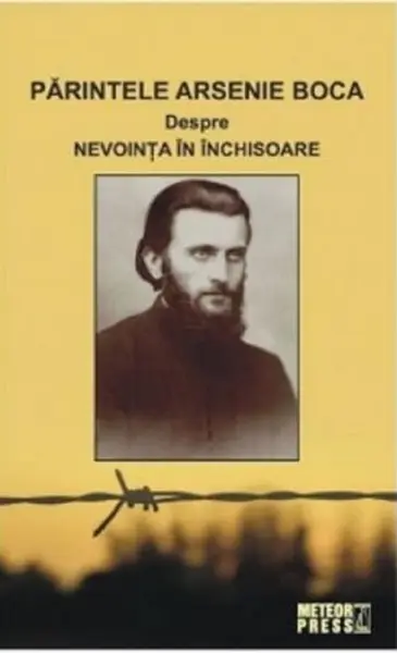 Parintele Arsenie Boca. Minuni si marturii | Romeo Petrasciuc