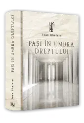 Pasi in umbra dreptului/Ioan Chelaru
