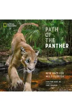 Path of the Panther: New Hope for Wild Florida - Carlton Ward Jr