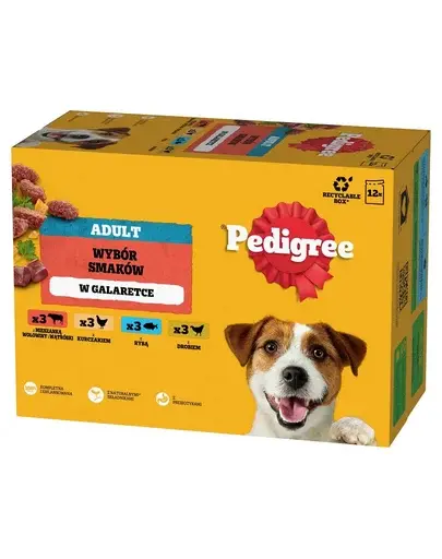 PEDIGREE Adult 12x100 g hrana umeda caini adulti, in gelatina