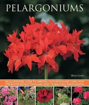 Pelargoniums, Paperback/Blaise Cooke