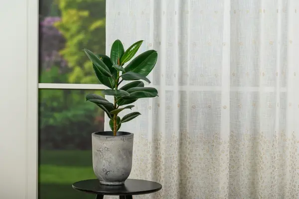 Perdea cu rejansă Splash Bej 1908 – Perdea elegantă cu broderie florală și bordură decorativă