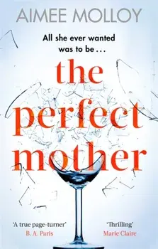 Perfect Mother. A gripping thriller with a nail-biting twist, Paperback/Aimee Molloy