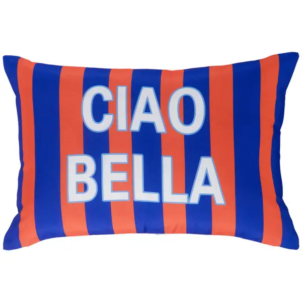 Pernă Decorativă 40/60 cm