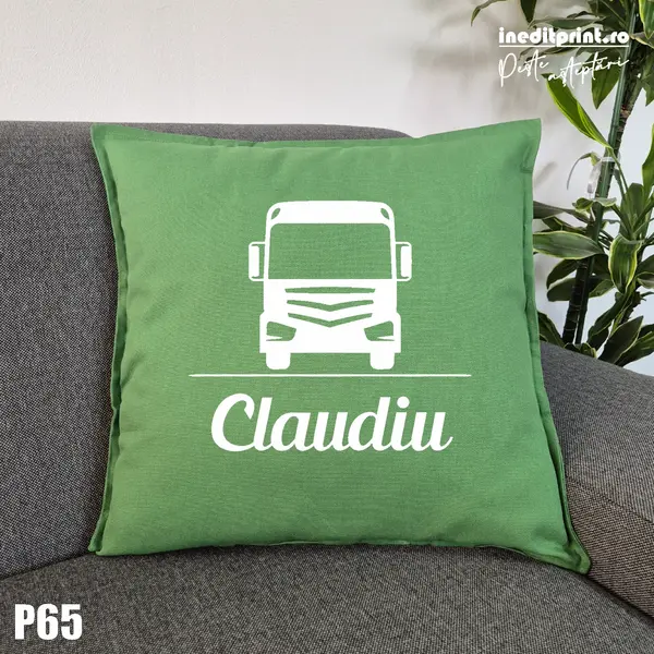 Perna Personalizabila pentru soferi - P65 Verde
